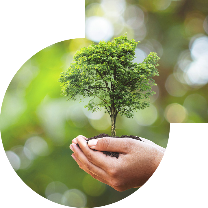 關懷人類、文化、環境與社會